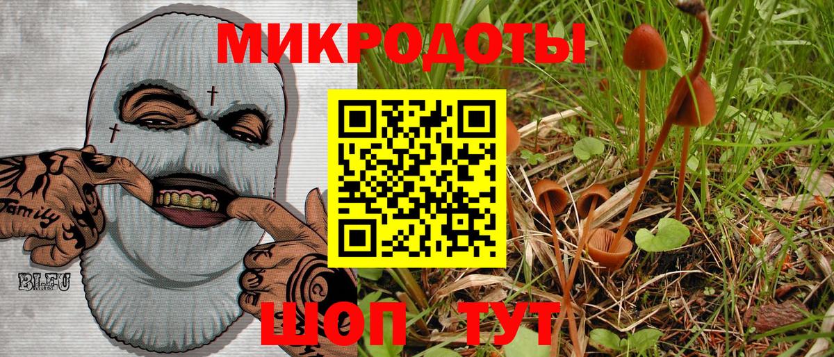 Галлюциногенные грибы Psilocybine cubensis  купить наркоту  Ижевск  Вход с VPN  Псилоцибиновые грибы GOLDEN TEACHER 