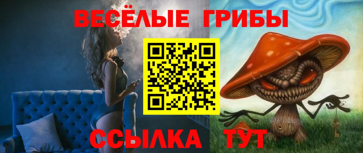 Галлюциногенные грибы Psilocybine cubensis Ижевск